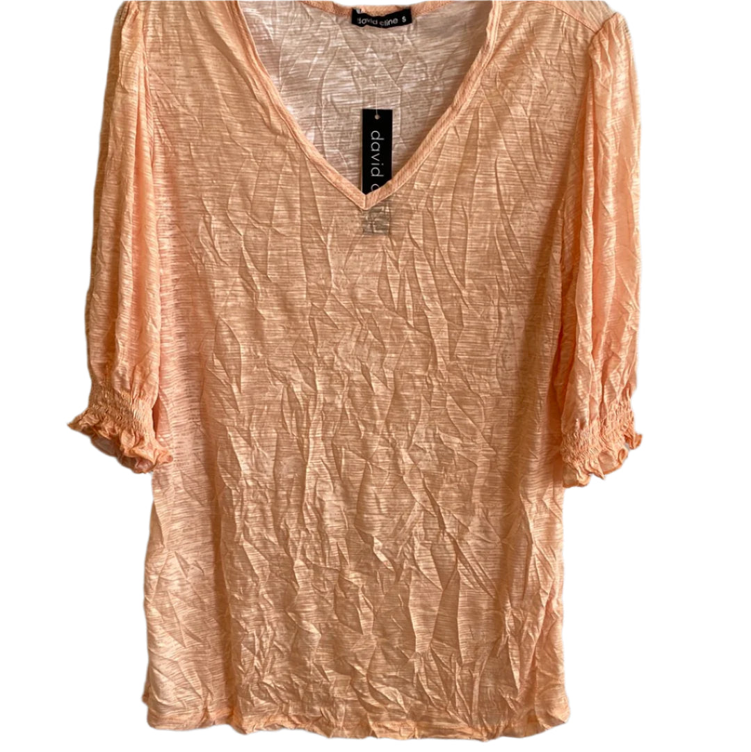 Shirred Puff Sleeve V-Neck Top-Peach