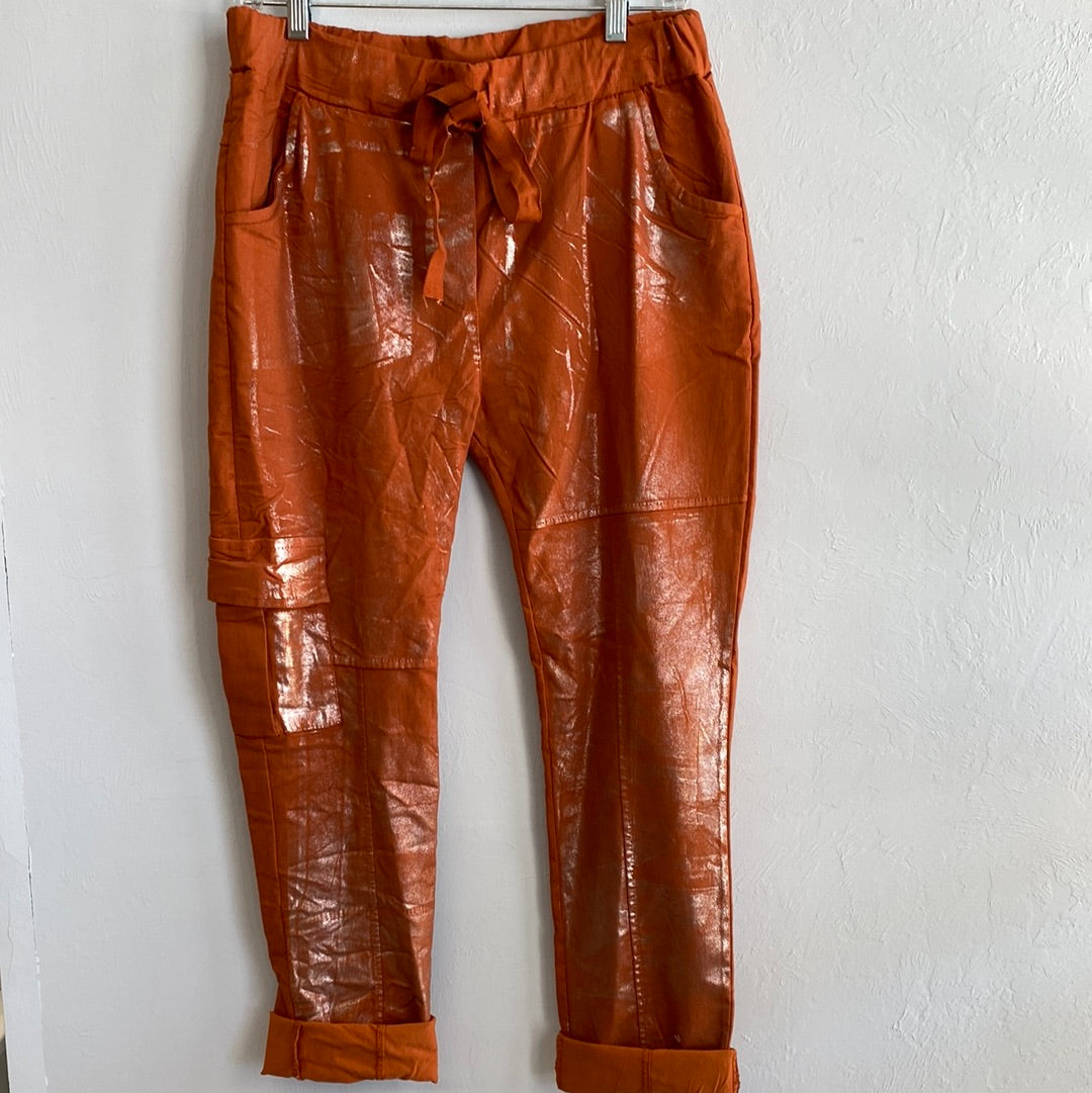 Cargo Pants Drawstring With Silver Paint-Rust